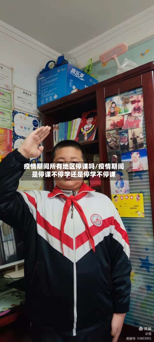 疫情期间所有地区停课吗/疫情期间是停课不停学还是停学不停课-第1张图片