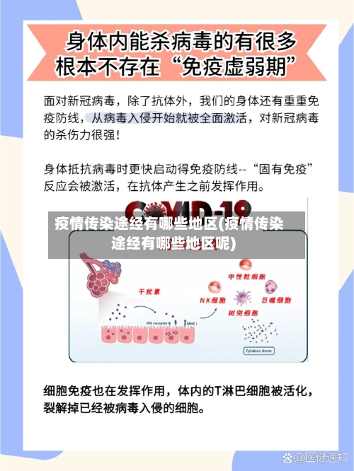 疫情传染途经有哪些地区(疫情传染途经有哪些地区呢)-第1张图片