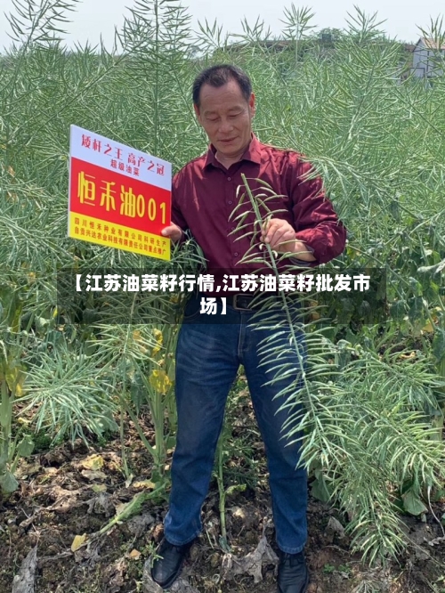 【江苏油菜籽行情,江苏油菜籽批发市场】-第1张图片