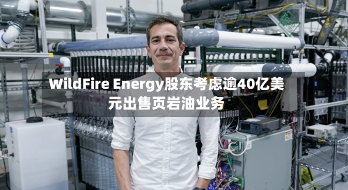 WildFire Energy股东考虑逾40亿美元出售页岩油业务-第1张图片