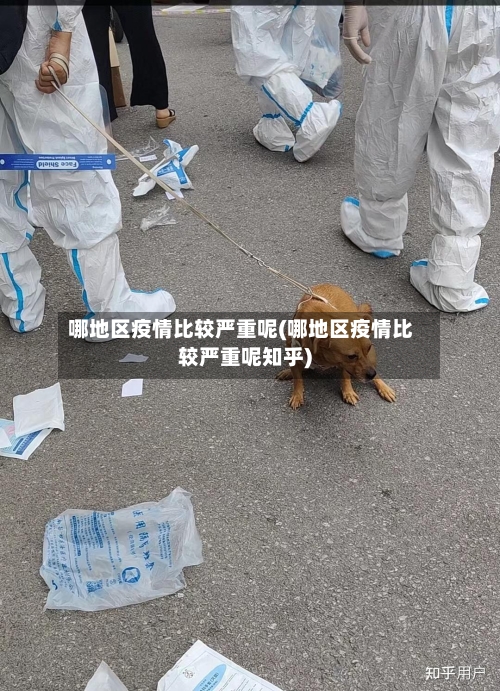 哪地区疫情比较严重呢(哪地区疫情比较严重呢知乎)-第1张图片
