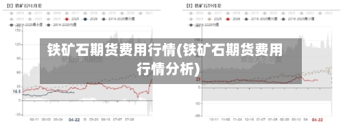 铁矿石期货费用行情(铁矿石期货费用行情分析)-第1张图片