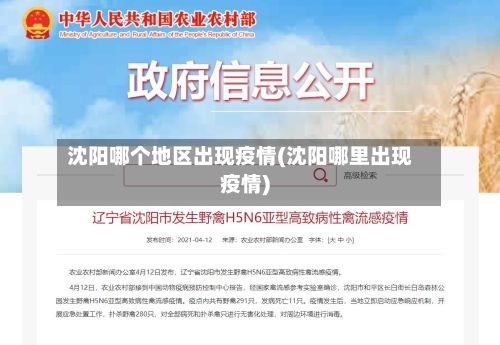 沈阳哪个地区出现疫情(沈阳哪里出现疫情)-第1张图片
