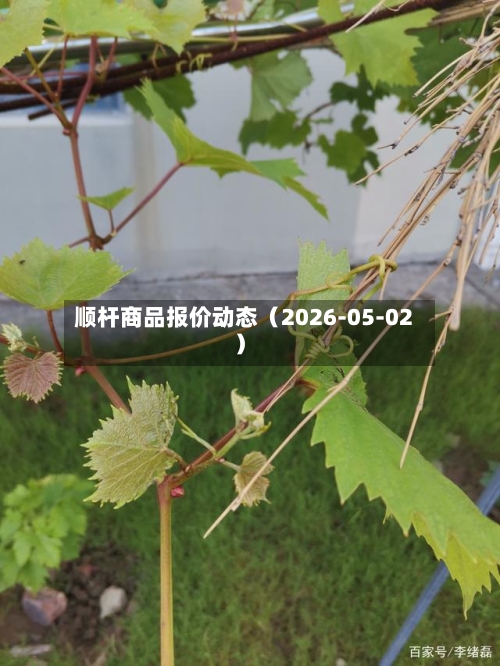 顺杆商品报价动态（2026-05-02）-第1张图片