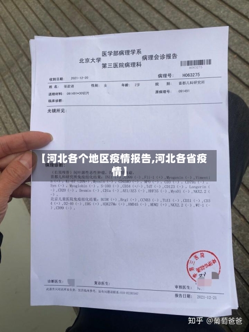 【河北各个地区疫情报告,河北各省疫情】-第1张图片
