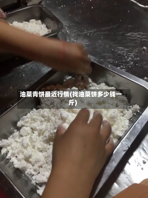 油菜青饼最近行情(找油菜饼多少钱一斤)-第1张图片