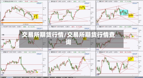 交易所期货行情/交易所期货行情查询-第1张图片