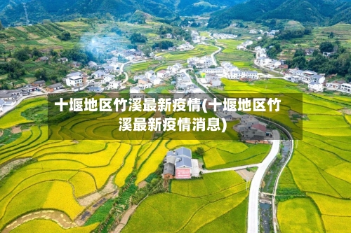 十堰地区竹溪最新疫情(十堰地区竹溪最新疫情消息)-第1张图片