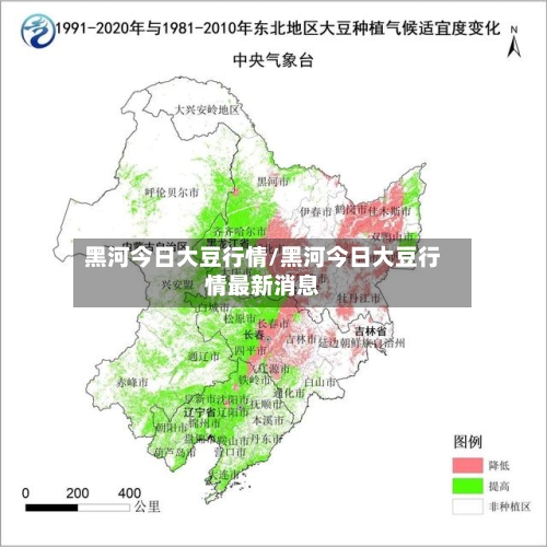 黑河今日大豆行情/黑河今日大豆行情最新消息-第1张图片