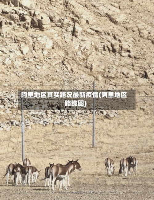 阿里地区真实路况最新疫情(阿里地区路线图)-第1张图片