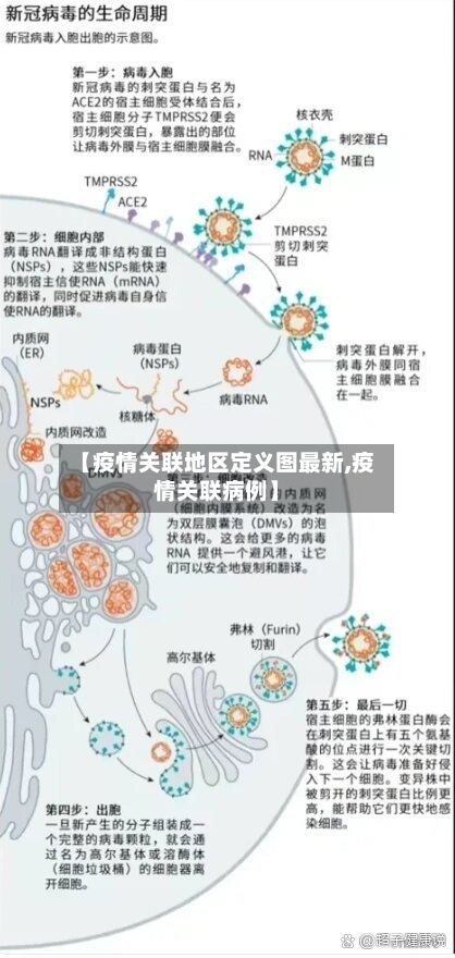 【疫情关联地区定义图最新,疫情关联病例】-第1张图片
