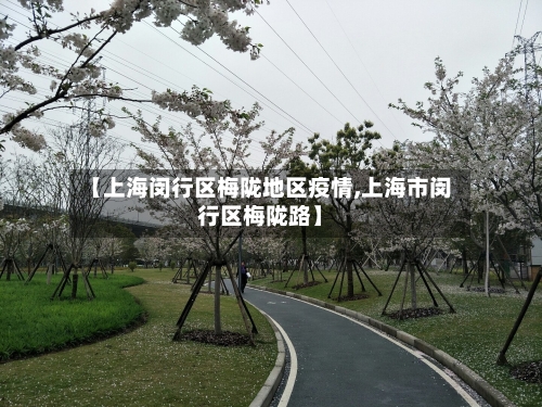 【上海闵行区梅陇地区疫情,上海市闵行区梅陇路】-第1张图片
