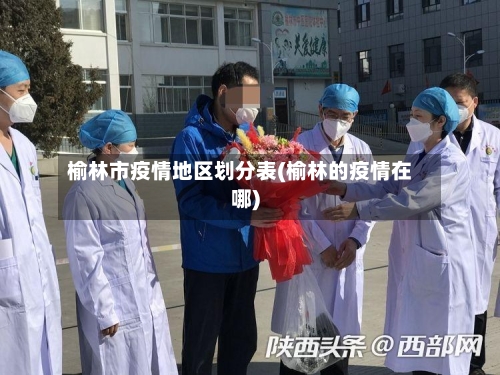 榆林市疫情地区划分表(榆林的疫情在哪)-第1张图片
