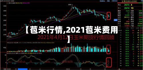 【苞米行情,2021苞米费用】-第1张图片