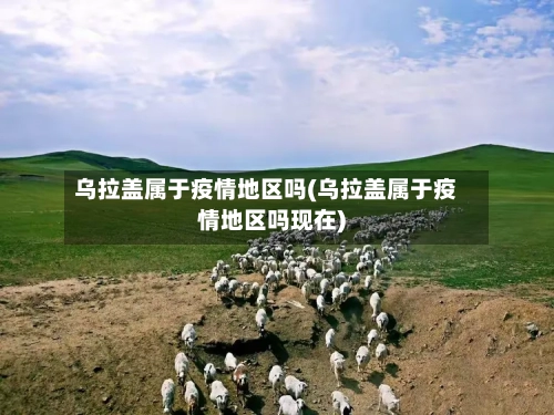 乌拉盖属于疫情地区吗(乌拉盖属于疫情地区吗现在)-第1张图片