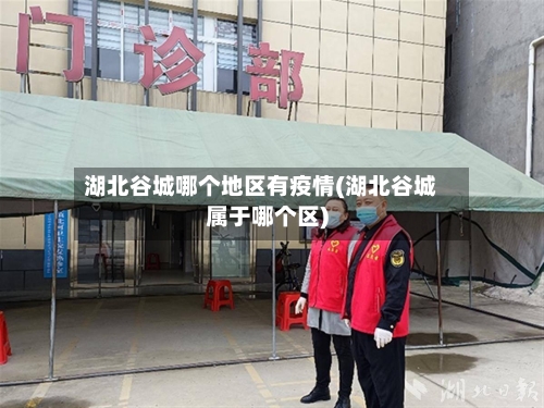 湖北谷城哪个地区有疫情(湖北谷城属于哪个区)-第1张图片