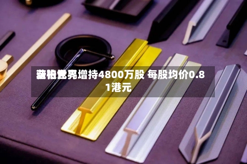 浩柏世界获张元亮增持4800万股 每股均价0.81港元-第1张图片
