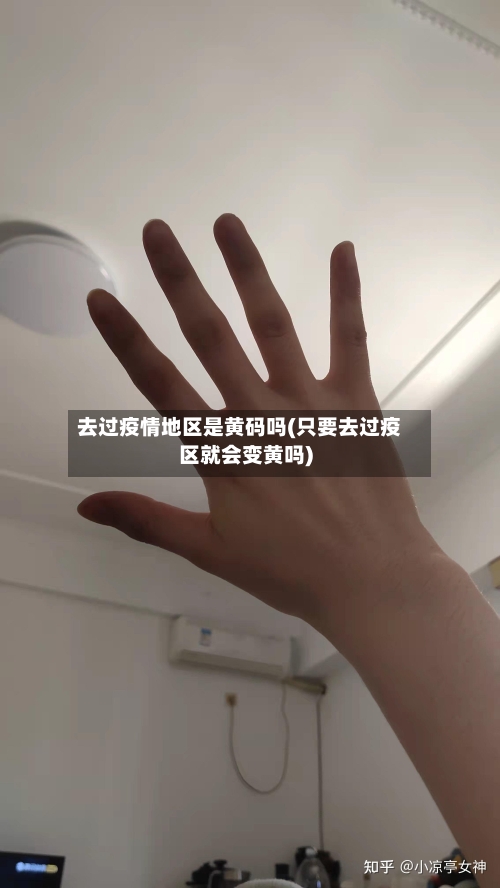 去过疫情地区是黄码吗(只要去过疫区就会变黄吗)-第1张图片
