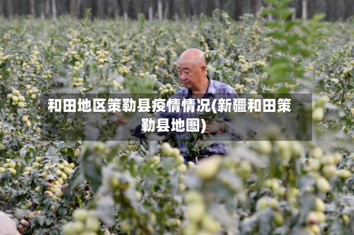 和田地区策勒县疫情情况(新疆和田策勒县地图)-第1张图片