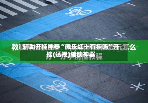 辅助开挂神器“微乐红十有挂吗	”开挂(透视)辅助神器-第1张图片