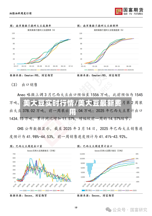 美大豆实时行情/美大豆最新费用-第1张图片
