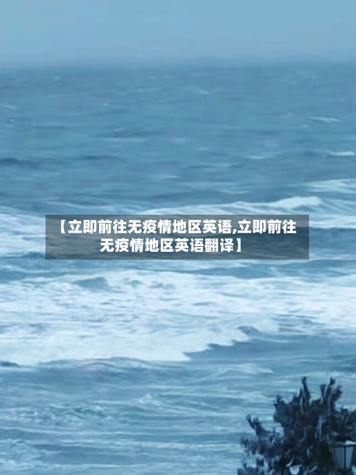 【立即前往无疫情地区英语,立即前往无疫情地区英语翻译】-第1张图片