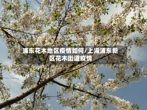 浦东花木地区疫情如何/上海浦东新区花木街道疫情-第1张图片