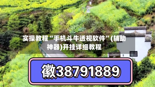 实操教程“手机斗牛透视软件”(辅助神器)开挂详细教程-第1张图片