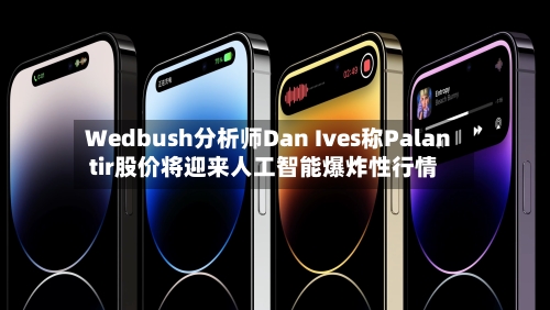 Wedbush分析师Dan Ives称Palantir股价将迎来人工智能爆炸性行情-第1张图片
