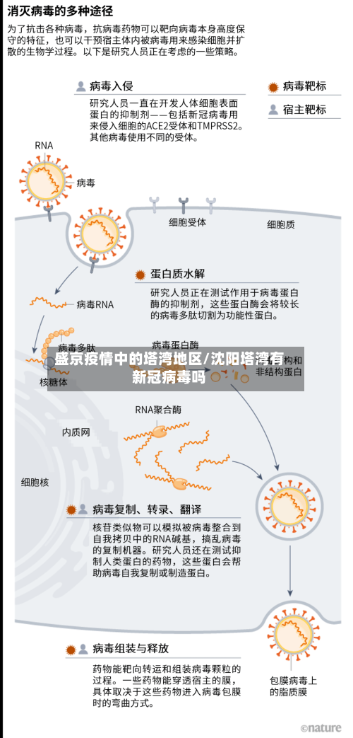盛京疫情中的塔湾地区/沈阳塔湾有新冠病毒吗-第1张图片