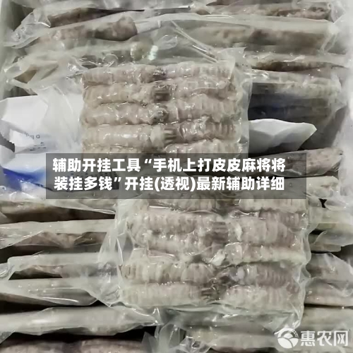 辅助开挂工具“手机上打皮皮麻将将装挂多钱”开挂(透视)最新辅助详细-第1张图片