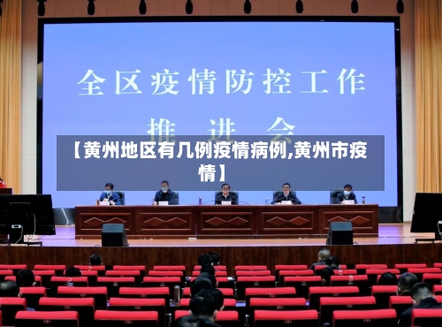 【黄州地区有几例疫情病例,黄州市疫情】-第1张图片