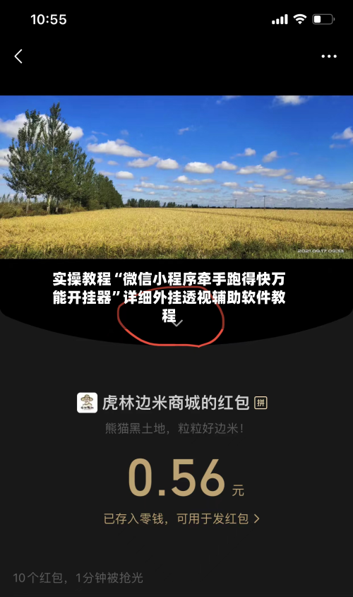实操教程“微信小程序牵手跑得快万能开挂器”详细外挂透视辅助软件教程-第1张图片