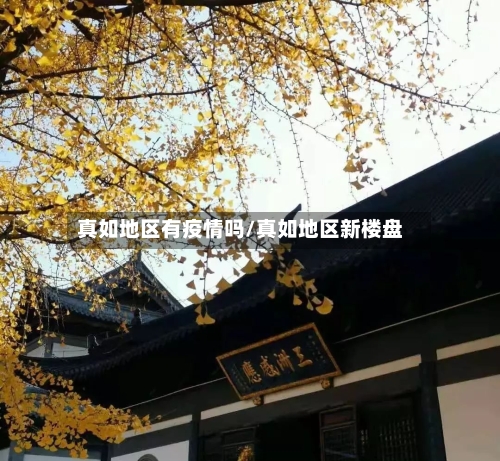 真如地区有疫情吗/真如地区新楼盘-第1张图片