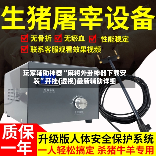 玩家辅助神器“麻将外卦神器下载安装”开挂(透视)最新辅助详细-第1张图片
