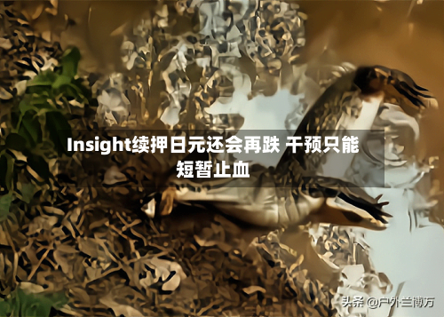 Insight续押日元还会再跌 干预只能短暂止血-第1张图片