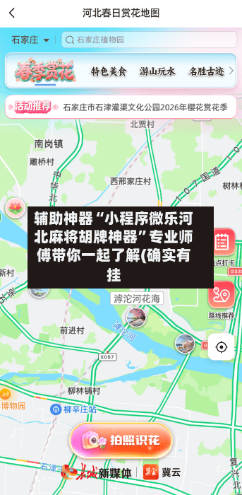 辅助神器“小程序微乐河北麻将胡牌神器”专业师傅带你一起了解(确实有挂-第1张图片