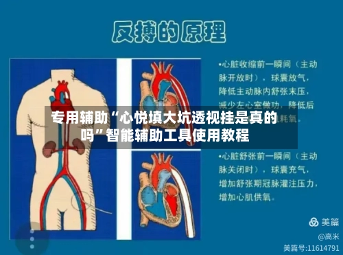 专用辅助“心悦填大坑透视挂是真的吗	”智能辅助工具使用教程-第1张图片