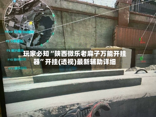 玩家必知“陕西微乐老麻子万能开挂器	”开挂(透视)最新辅助详细-第1张图片
