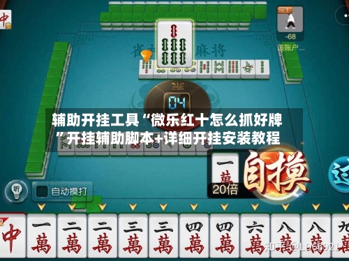 辅助开挂工具“微乐红十怎么抓好牌”开挂辅助脚本+详细开挂安装教程-第1张图片