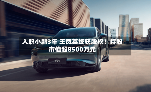 入职小鹏3年 王凤英终获股权!持股市值超8500万元-第1张图片