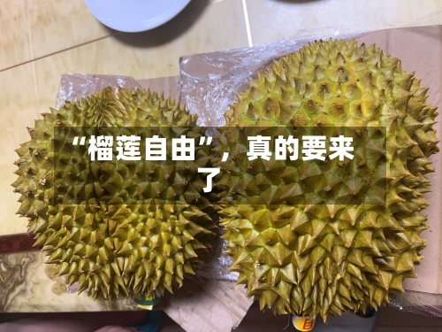 “榴莲自由”，真的要来了-第1张图片