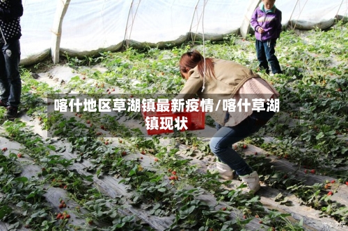 喀什地区草湖镇最新疫情/喀什草湖镇现状-第1张图片
