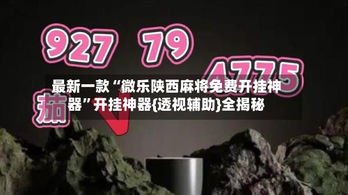 最新一款“微乐陕西麻将免费开挂神器”开挂神器{透视辅助}全揭秘-第1张图片