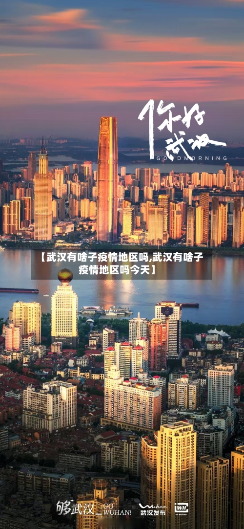 【武汉有啥子疫情地区吗,武汉有啥子疫情地区吗今天】-第1张图片