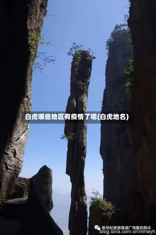 白虎哪些地区有疫情了呢(白虎地名)-第1张图片