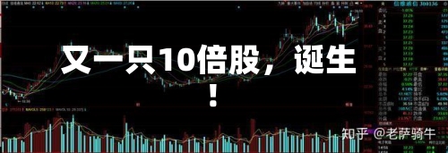 又一只10倍股，诞生！-第1张图片