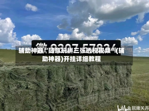 辅助神器“随意玩拼三张透视视频”(辅助神器)开挂详细教程-第1张图片