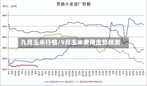 九月玉米行情/9月玉米费用走势预测-第1张图片
