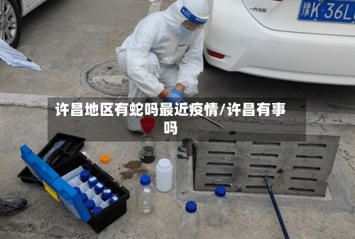 许昌地区有蛇吗最近疫情/许昌有事吗-第1张图片